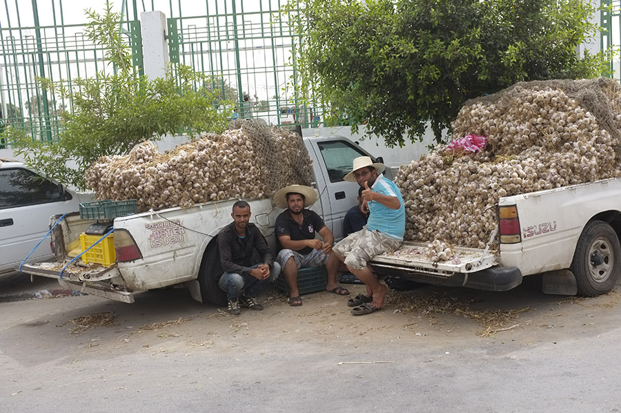 Nos voisins à Gabès : les vendeurs d’ail.